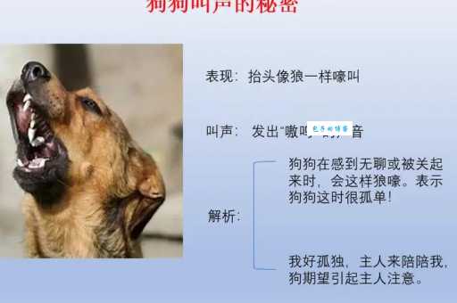 犬吠是什么意思?狗叫声的含义及典故解释