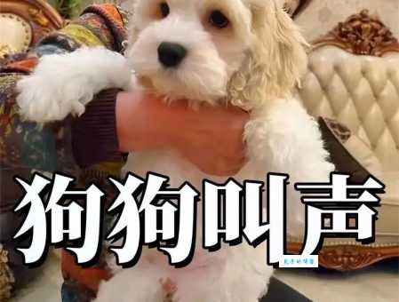 犬吠是什么意思?狗叫声的含义及典故解释