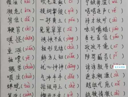 莘莘学子读音易错点,教你正确发音和含义