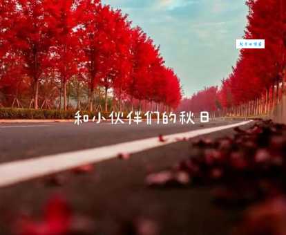 轻松掌握一叶知秋近义词,附详细解释和例句