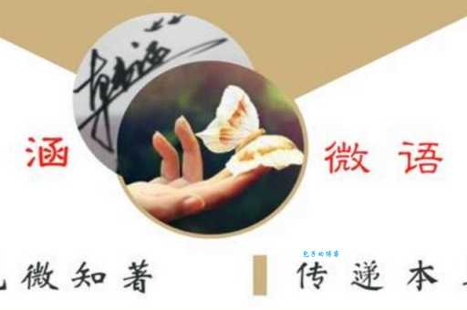 你知道见微知著的近义词吗?一文带你了解这些词语的细微差别