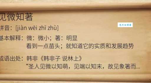 你知道见微知著的近义词吗?一文带你了解这些词语的细微差别