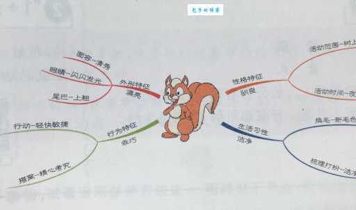 追逐的近义词大全,实用又方便!