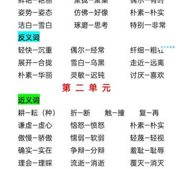 彼此的近义词详解:深入理解词语间的细微差别