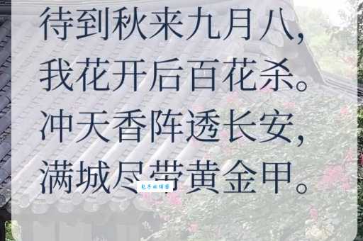 百首秋菊诗句:从古至今的菊花诗歌鉴赏