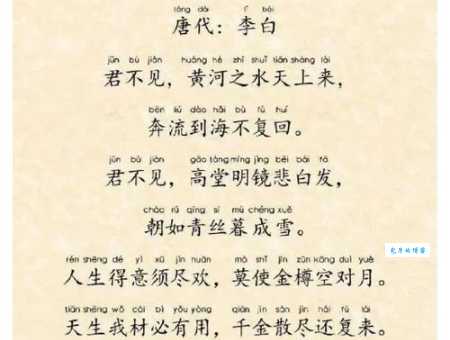 莫待无花空折枝全诗赏析及翻译,带你走进唐诗意境