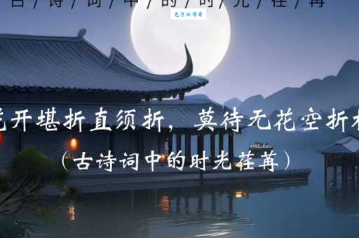 莫待无花空折枝全诗赏析及翻译,带你走进唐诗意境