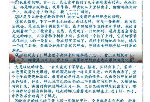 金蝉脱壳怎么造句？例句及解释都在这里