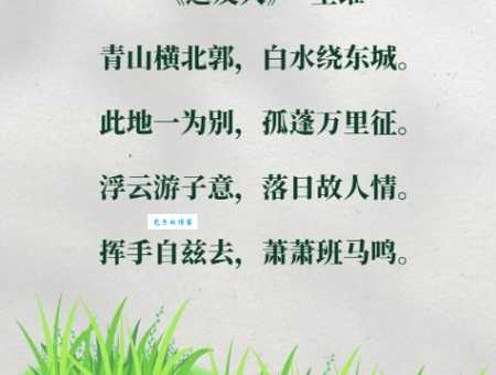 古诗词里描写草原的句子有哪些?带你领略草原风光