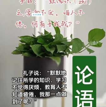 不会用“诲人不倦”造句?这里有秘诀!