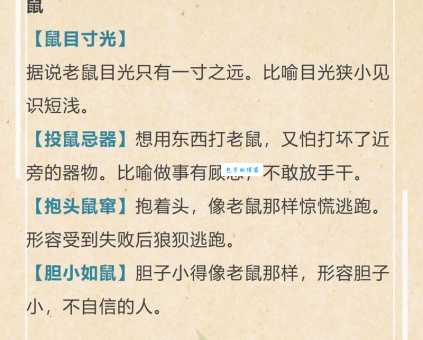 马捉老鼠是什么意思?比喻什么?简单易懂的解释