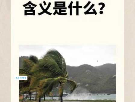 急需了解!生死攸关的意思及在不同语境下的运用