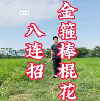 当头一棒是什么意思及用法?举例详解让你快速掌握