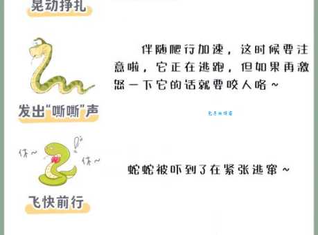 养虺成蛇是什么意思?简单解释及例句用法