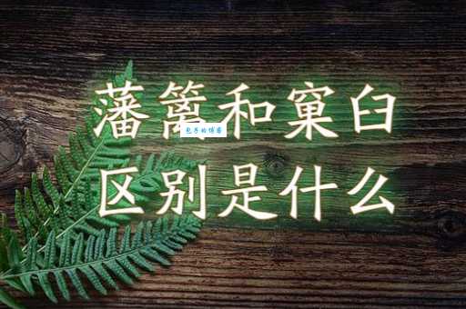 不落窠臼是什么意思及用法?避免写作中的老套