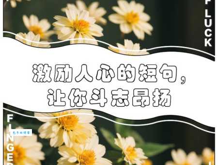 什么是斗志昂扬?斗志昂扬的详细解释和用法