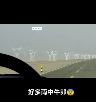 想知道牛毛细雨是什么意思吗?这里有最全面的解释