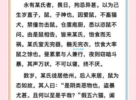 鼠雀之牙是什么意思?揭秘这个鲜为人知的成语典故