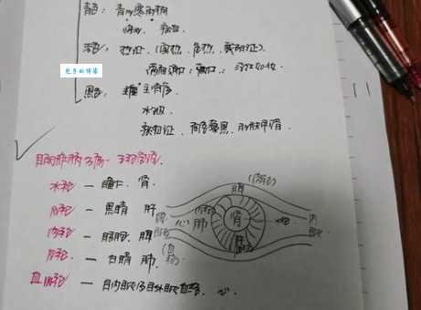一文读懂望闻问切:中医诊断方法及临床意义
