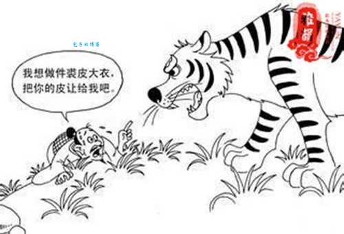 成语与狐谋皮是什么意思?教你快速理解与狐谋皮的含义