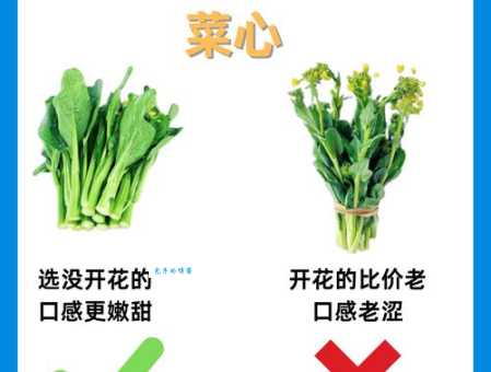 彻底弄懂“买菜求益”的含义及用法,避免误用