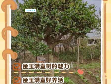 金玉满堂的意思是什么?一文读懂金玉满堂的含义及用法