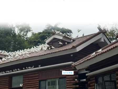 搞懂“煞有介事”的意思,从此不再用错词