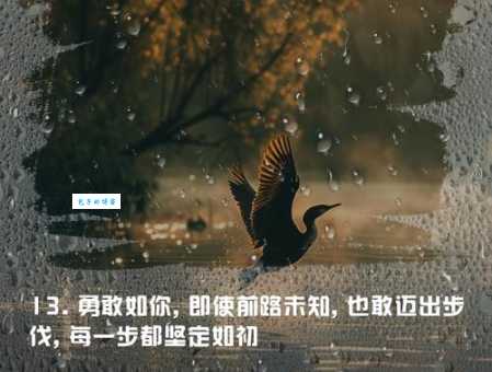郭敬明经典语录分享:激励你勇敢前行的力量