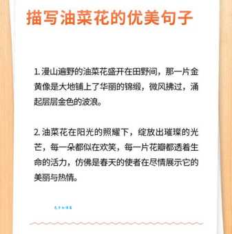 唯美油菜花短句摘抄:表达春意,记录美好瞬间