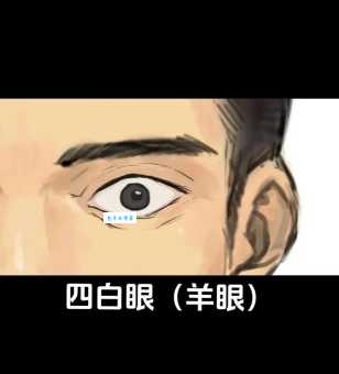 想知道有板有眼是什么意思吗?这里有答案