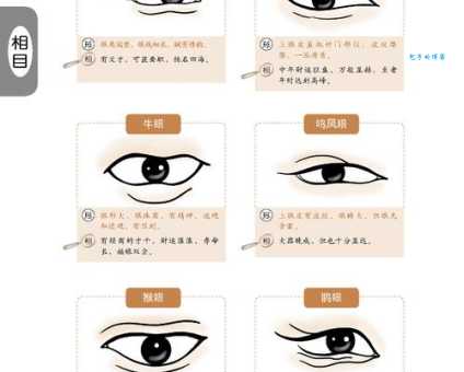 想知道有板有眼是什么意思吗?这里有答案