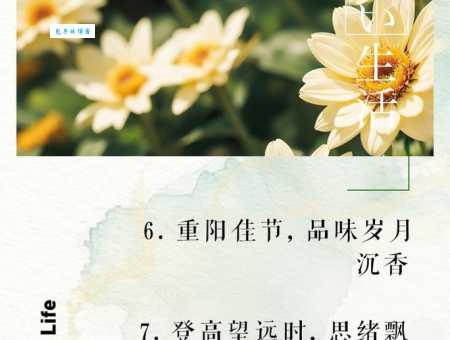 重阳节朋友圈文案:简单又惊艳的句子推荐