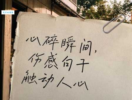 那些令人心碎的小时代经典语录,句句戳心
