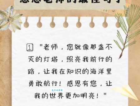 感谢老师的暖心句子:家长对老师的真挚感谢