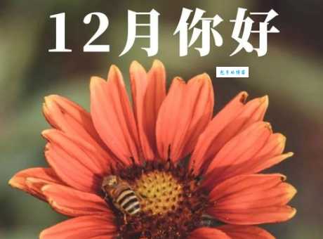 告别11月你好12月:12月份适合发朋友圈的句子