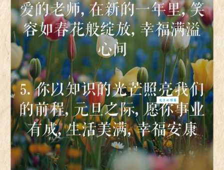 最走心的元旦祝福语:送给敬爱的老师,新年快乐