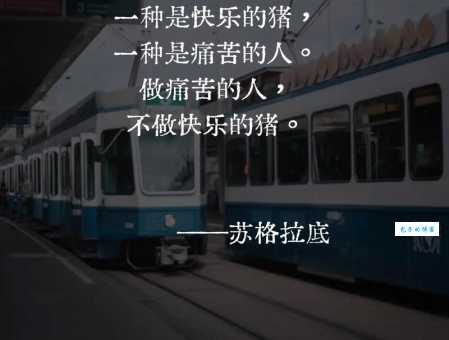 深度解读麦兜语录：那些温暖人心的生活哲理