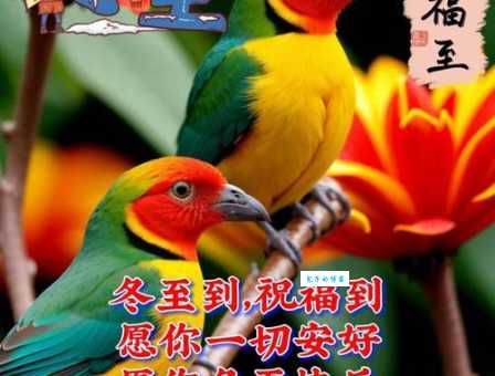 冬至快乐!一句简单的问候,愿你冬至一切顺利