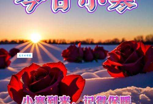 小寒祝福语简短大全:送上温暖的问候