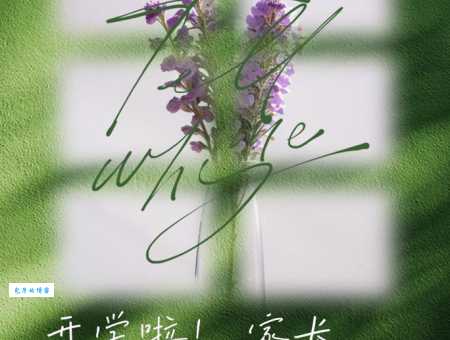 开学了,家长的心情短句:我的孩子,新学期加油!