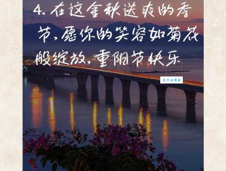 适合重阳节发的正能量句子:满满的祝福与问候