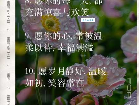 分享最走心的暖心祝福语:传递温暖,收获快乐