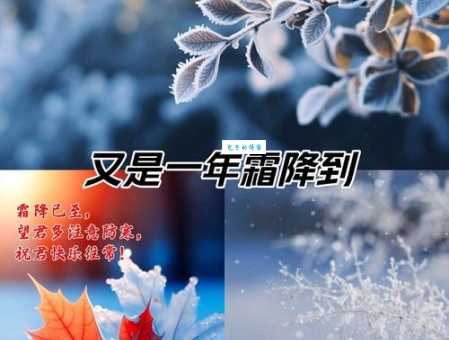 最美的霜降祝福语:句句暖心,驱散寒冬的冰冷