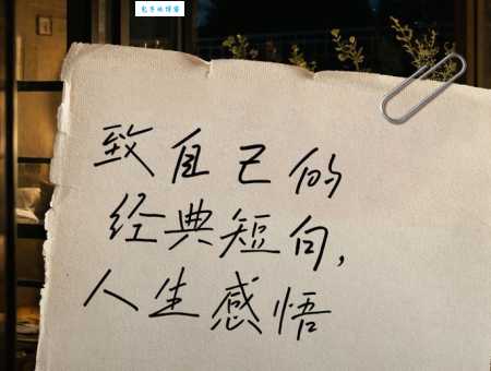 人生哲理的句子经典语录摘抄:感悟人生,提升自我