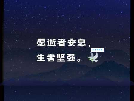 八个字简短哀悼语:缅怀逝者,永世不忘