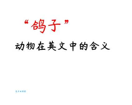 鸽怎么念？鸽子的拼音、组词和详细含义都在这里
