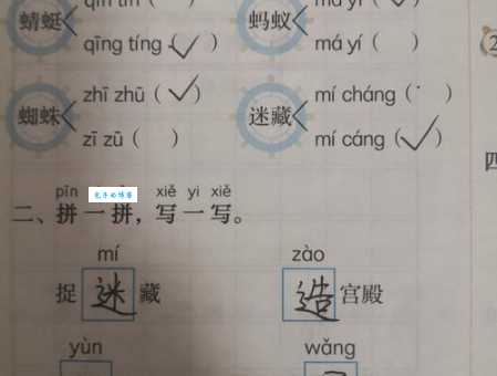 蚂怎么读?蚂怎么念?蚂字拼音及组词大全