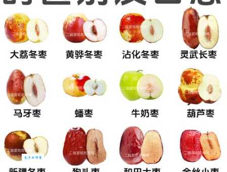 轻松学会枣字的读音!枣怎么读?枣字拼音、组词及例句详解。