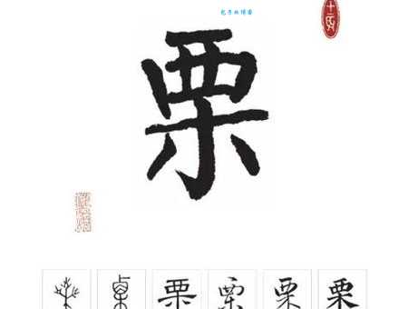 栗怎么读?栗字拼音怎么念?栗字组词有哪些?
