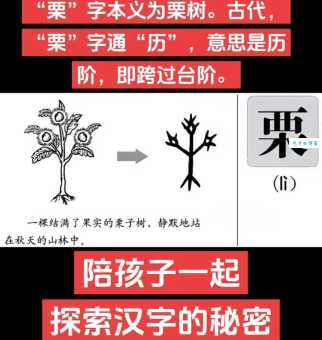 栗怎么读?栗字拼音怎么念?栗字组词有哪些?